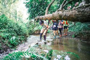 BIB: 
                            <button type="button" onclick="openModal(25477707)" class="btn btn-primary btn-sm float-right btn-popup" data-toggle="modal" data-target=".modal-high-quality">
                        <i class="fas fa-shopping-cart"></i> Add to Cart
                    </button>
                                            <button type="button" onclick="isThisMe(25477707, true)" class="btn btn-success btn-sm float-right btn-popup btn-isme hidden" data-toggle="tooltip" data-placement="bottom" title="นี่คือรูปของคุณใช่ไหม คลิกที่นี่เพื่อเอาเข้าอัลบั้ม">
                        <i class="fas fa-plus"></i> Add to album
                    </button>
                    <button type="button" onclick="isThisMe(25477707, false)" class="btn btn-warning btn-sm float-right btn-popup btn-isnotme hidden">
                        <i class="fas fa-ban"></i> Remove from album
                    </button>